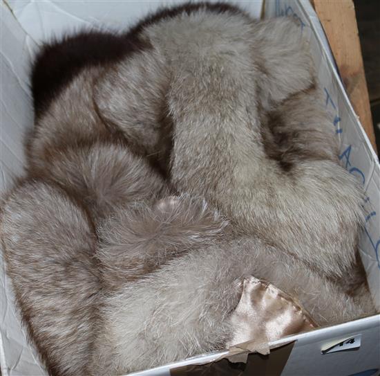 Fox collar and a mink coat